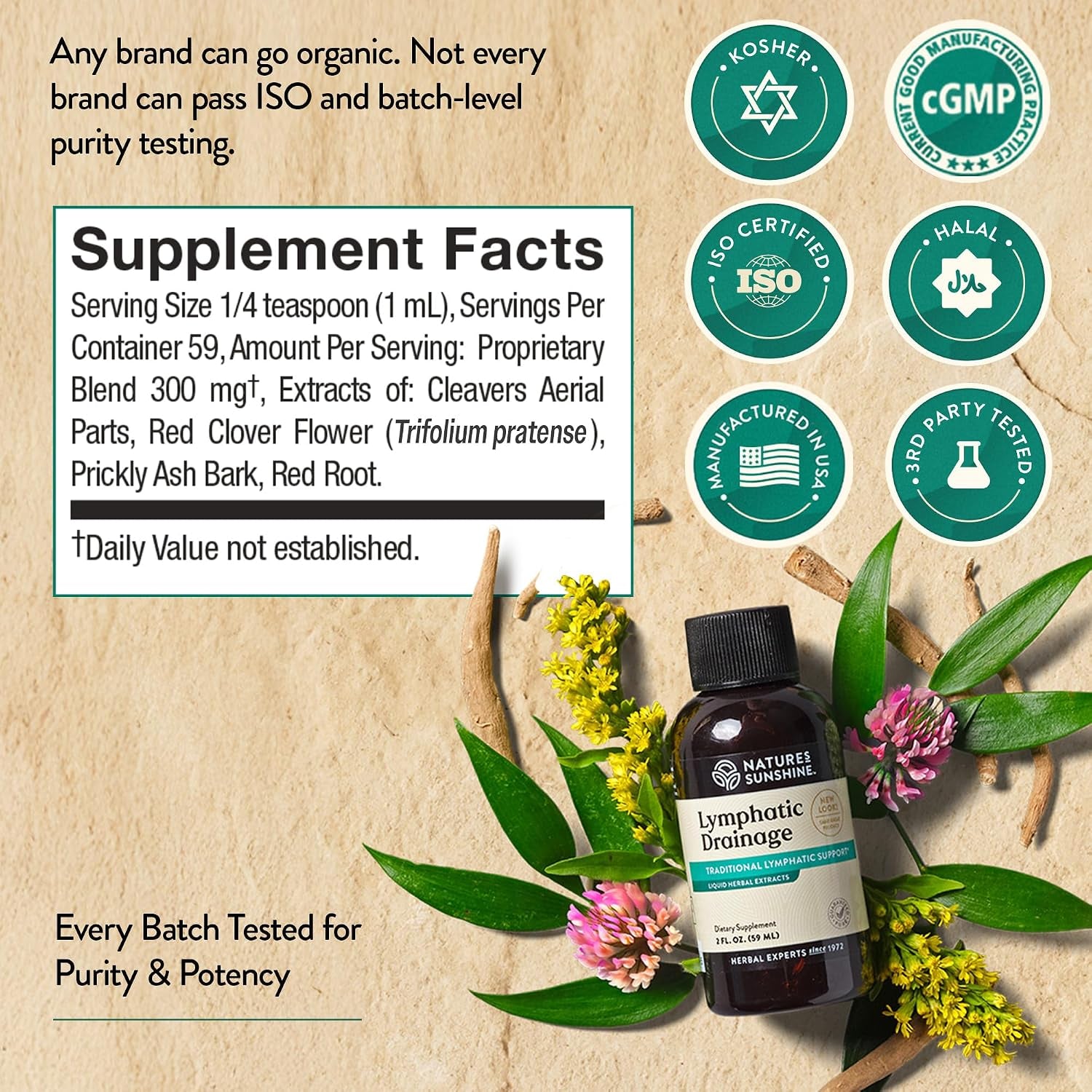 Lymphatic Drainage Drops with Cleavers Extract - 60 Serv. | Herbal Lymphatic Support Supplement Complex for Lymph Drainage, Red Clover, Red Root & Prickly Ash Bark for Lymph System Flow
